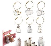 mgmooa 6Pcs Fur-Ever Loved Cat Hair Memorial Pendant, Cat Fur Keepsake Capsule Pendant, Keepsake Keychain, Pet Hair Storage Bottle,