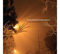 MGR y Destructo Swarmbots - Amigos De La Guitarra