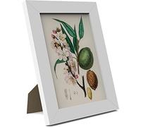 MH Traders 2 Pack White A5 Picture Frame - Freestanding and Wall Mounted Photo Frame for Pictures Posters & Certificates - 15 x 21 CM A5 Size Compact Picture Frames