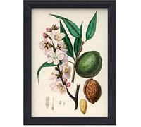 MH Traders 3 Pack Black A4 Picture Frame - Wall Mounted Photo Frame for Pictures Posters & Certificates - 30 x 21 CM A4 Size Compact Picture Frames