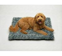 MH Traders Dog Bed Pet Cat Beds Cushion Mattress Soft Warm Dog Mat Pad for Dogs (Wyatt, Medium (65 x 90 cm))