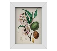 MH Traders White A4 Picture Frame - Wall Mounted Photo Frame for Pictures Posters & Certificates - 30 x 21 CM A4 Size Compact Picture Frames