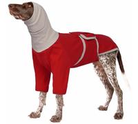 MHaustlie Recovery Suit for Large Dogs, Dog Onesie After Surgery Spay Neuter, Bodysuit for Abdominal Wounds Skin Disease, E-Collar & Cone Alternatives, Suitical Recovery Suit for Female(Red, 2XL)