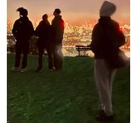 MHH - THE WISDOM OF HARRY [VINYL]
