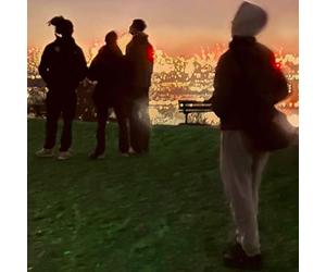 MHH - THE WISDOM OF HARRY [VINYL]