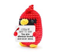 MHSMHL Cardinal Gifts for Women, Sympathy Gifts for Loss of Loved One, Memorial Gift Crochet Cardinal Emotional Uplifting Support Student College Coworkers Christmas Stuffers (You are Loved)