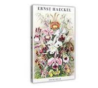 MHTHFD Ernst Haeckel Orchids Portrait Canvas Poster Bedroom Decor Landscape Office Room Decor Gift 08x12inch(20x30cm)