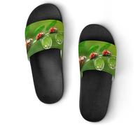 MHYRAC Non-Slip Slippers, Ladybug Ladybird Green Landscape Sliders for Men And Women, Shower Slides