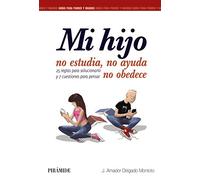 Mi hijo no estudia, no ayuda, no obedece : 25 reglas para solucionarlo y 7 cuestiones para pensar