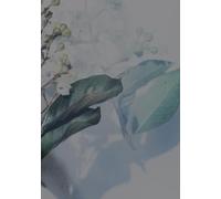 Mi tiempo con Dios: Una libreta devocional de 90 días para conocer su amor cada día