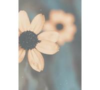 Mi tiempo con Dios: Una libreta devocional de 90 días para conocer su amor cada día