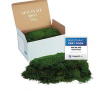 Mia Milano Plate Moss Preserved | Deco Wall Moss Plates Durable | DIY Moss Picture Make Yourself | Natural Moss Mat Living in Green (750g)