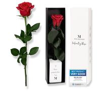 Mia Milano Red Infinity Rose on Stem in Gift Box - Durable Rose Gift for Women - Perfect for Valentine's Day