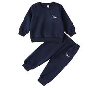 Miaeowve Kids Baby Boys 2-Piece Dinosaur Embroidery Tracksuit Textured Sports Set Long Sleeves Sweatshirt with Pants Navy Blue 18-24 Months
