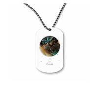 Miammo Horoscope - Pisces - Zodiac Star Sign Birthday (Watercolour Constellation with Text) ball-chain pendant - dog tag style necklace