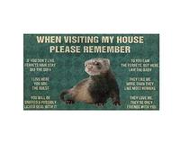 MIAOMANSENSTORE Door mat indoor Ferrets Cute When Visting My House Please Remember Doormat, Ferret Lovers Home Decorative Welcome Doormat Home Decor
