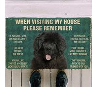 MIAOMANSENSTORE Door mat indoor Please Remember Newfoundland House Rules Funny Doormat, Newfoundland Dog Lovers Home Decorative Welcome Doormat Home Decor
