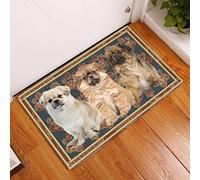 MIAOMANSENSTORE Door mat indoor Tibetan Spaniel Flower Paw Dog Doormat, Tibetan Spaniel Dog Home Decorative Welcome Doormat Home Decor, TTha-2691