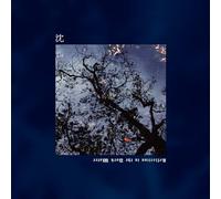 Miasma Death - Reflection in the Dark Water