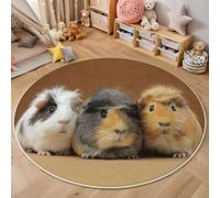 MIATCENRT Cute Guinea Pig Round Area Rug 120cm, Soft Washable Non Slip Low-Pile Circle Thin Rugs, Animal Portrait Printed Carpet for Living Room Kitchen Bedroom Dining Room Brown