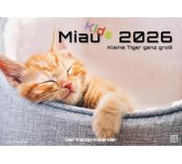 Miau Kids - kleine Tiger ganz groß - Der Katzenkalender - 2026 - Kalender DIN A2: Der Wandkalender mit den schönsten Motiven von Kätzchen für das Jahr ... extragroßen Format DIN A2 (ca. 60 x 42 cm)!