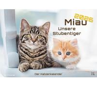 Miau - Unsere Stubentiger - Der Katzenkalender - 2026 - Kalender DIN A2: Der Wandkalender mit den schönsten Katzen-Motiven für das Jahr 2026 im extragroßen Format DIN A2 (ca. 60 x 42 cm)!