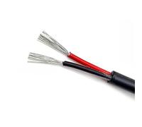 MIBSH Pipe House 2Pin Heat Insulation Extend Wire, 22AWG 20AWG 18AWG 300V 3A Cord, Tinned Copper Black Cable for Garden LED Light Car Bicycle Lamp Soil Electronics (Color : 30M, Size : 22 AWG)