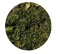 Mica Cosmetic Powder Two Tone Candle Melts Bath Bombs Soap Dye Nail Polish Grout Epoxy Resin (Dark Green Gold, 25g Jar)