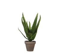 MICA Decorations DecorationsDecorations 1079778 Aloe Vera Artificial Plant Height 30 cm Green Height 30 x Diameter 16 cm