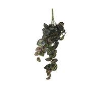 MICA Decorations Peperomia Artificial Hanging Plant Height 58 cm Multi-Coloured