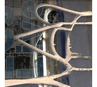 Mica Levi & Oliver Coates - Remain Calm