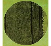 Micah Blue Smaldone - The Ring Of The Rise [VINYL]