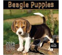 MICASA Beagle Puppies 2026 Wall Calendar 12 Month | 12" x 24" Open | Thick & Sturdy Paper | Giftable | Calendar 2026