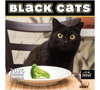 MICASA Black Cats 2026 Wall Calendar 12 Month | 12" x 24" Open | Thick & Sturdy Paper | Giftable | Calendar 2026