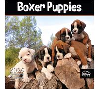 MICASA Boxer Puppies 2026 Wall Calendar 12 Month | 12" x 24" Open | Thick & Sturdy Paper | Giftable | Calendar 2026