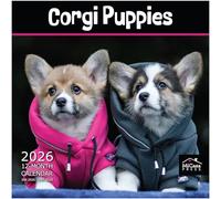MICASA Corgi Puppies 2026 Wall Calendar 12 Month | 12" x 24" Open | Thick & Sturdy Paper | Giftable | Calendar 2026