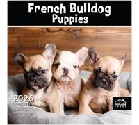 MICASA French Bulldog Puppies 2026 Wall Calendar 12 Month | 12" x 24" Open | Thick & Sturdy Paper | Giftable | Calendar 2026