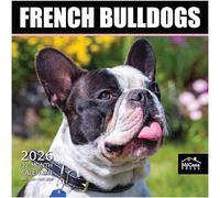 MICASA French Bulldogs 2026 Wall Calendar 12 Month | 12" x 24" Open | Thick & Sturdy Paper | Giftable | Calendar 2026