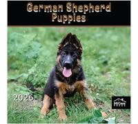 MICASA German Shepherd Puppies 2026 Wall Calendar 12 Month | 12" x 24" Open | Thick & Sturdy Paper | Giftable | Calendar 2026