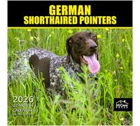 MICASA German Shorthaired Pointers 2026 Wall Calendar 12 Month | 12" x 24" Open | Thick & Sturdy Paper | Giftable | Calendar 2026