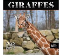 MICASA Giraffes 2026 Wall Calendar 12 Month | 12" x 24" Open | Thick & Sturdy Paper | Giftable | Calendar 2026