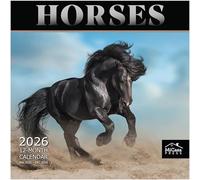 MICASA Horses 2026 Wall Calendar 12 Month | 12" x 24" Open | Thick & Sturdy Paper | Giftable | Calendar 2026
