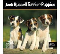 MICASA Jack Russell Terrier Puppies 2026 Wall Calendar 12 Month | 12" x 24" Open | Thick & Sturdy Paper | Giftable | Calendar 2026