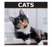 MICASA PRESS - Cats 2025 Wall Calendar 12 Month | 12" x 24" Open | Thick & Sturdy Paper | Giftable | Calendar 2025
