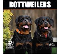 MICASA Rottweilers 2026 Wall Calendar 12 Month | 12" x 24" Open | Thick & Sturdy Paper | Giftable | Calendar 2026