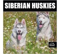 MICASA Siberian Huskies 2026 Wall Calendar 12 Month | 12" x 24" Open | Thick & Sturdy Paper | Giftable | Calendar 2026