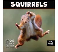 MICASA Squirrels 2026 Wall Calendar 12 Month | 12" x 24" Open | Thick & Sturdy Paper | Giftable | Calendar 2026