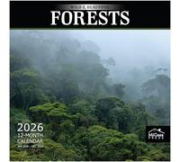 MICASA Wild & Beautiful Forests 2026 Wall Calendar 12 Month | 12" x 24" Open | Thick & Sturdy Paper | Giftable | Calendar 2026