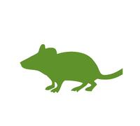 (Mice Large 26g+ 10 Pack) Swell Reptiles Frozen Mice Outstanding Snake Food