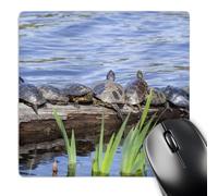 Mice Mat Pond Slider, Painted, Western Turtles Jamie Comfortable Gaming Mousepad Soft Desk Pad For Desk Pc Home 25X30Cm